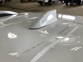 645.gm9h19 Terrain 2019 Antenna 319473