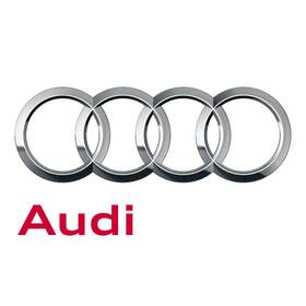 Audi 4m0-035-503-l-gru Genuine Roofaerial