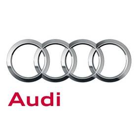 Audi 4s7-035-498 Genuine Aerialwire