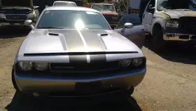 645.ch2s13 Dodge Challenge 2013 Antenna 1384117