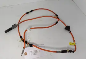 Yl8z18812aa Ford 2005 Escape Antenna Cable - Genuine Oem Part Great Condition