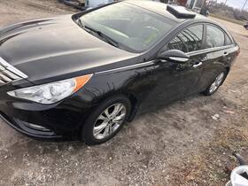 Hyundai 645.hy1s13 Sonata 2013 Antenna 553448