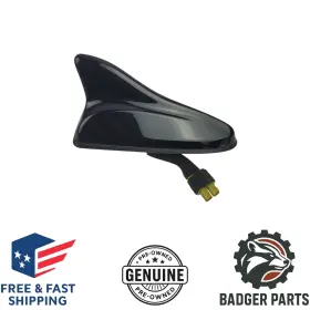 96210e6000tb7 Hyundai For Oem Combination Antenna Assembly