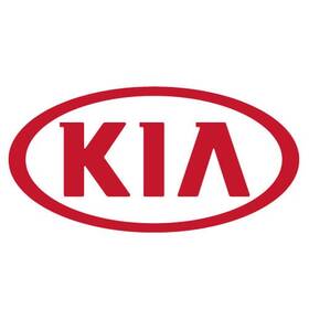 Kia 96250-2t100iyr Genuine Antenna Assembly Combination