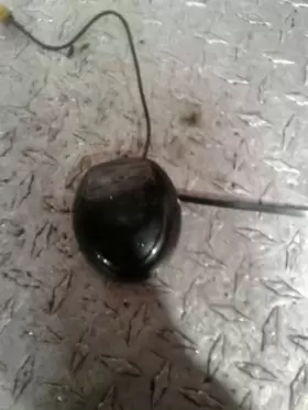 645.fd2s17 Lincoln Contintal 2017 Antenna