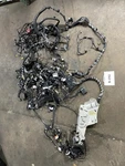 2019 Ford Fusion Hybrid 2.0L Interior Body Wire Harness Oem+ Used. Price: $442.88.
