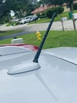 7" Short Rubber Spiral Antenna Mast Radio For Infiniti EX35 EX37 QX50 2008-2017 New. Price: $14.95.