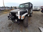 Wrangler 2003 Antenna 12517251 Used. Price: $56.02.