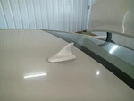 Lacrosse 2010 Antenna 104825542 Used. Price: $59.50.
