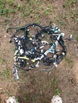 2008 Lexus IS250 Awd Interior Wire Harness 86101-53580 Oem+ Used. Price: $104.00.