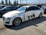 Antenna Oem 2017 Cadillac Cts 1YR Wrnty 84078276 Used. Price: $100.00.