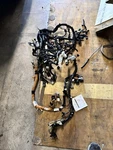 17-19 Ford F250 Platinum Instrument Panel Dash Wire Wiring Harnes KC3T-14401-AAD Used. Price: $280.00.