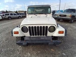 Wrangler 1998 Antenna 12834168 Used. Price: $56.02.