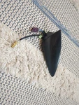 15-18 Cadillac Chevrolet Buick High Frequency Antenna Genuine Gm 23378035 Used. Price: $49.99.