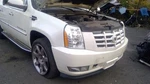 Escalaext 2009 Antenna 1074926 Used. Price: $94.90.