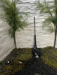 2009-2010 Dodge Journey Antenna Used. Price: $50.58.