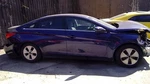 Sonata 2013 Antenna 1181453 Used. Price: $62.44.