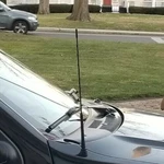 16" Antenna Mast Black Power Radio Am/fm For Dodge Grand Caravan 1997-2007 New. Price: $14.95.