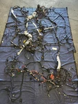 2023 Bmw 430XI Gran Coupe Body Main Wiring Harness 2.0L Awd 24K Oem 61146807487 For. Price: $395.00.