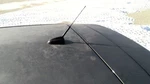 2008- 2018 Ford Focus Antenna Used. Price: $114.10.