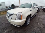 Escalade 2007 Antenna 12569793 Used. Price: $66.02.