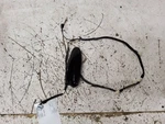 2018 2019 2020 2021 2022, Honda Accord, Radio Roof Antenna, Black, Oem Used. Price: $85.00.