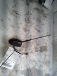 Fusion 2015 Antenna 535578 Used. Price: $72.79.