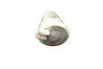 95-97 Mercedes S600 Coupe W140 Antenna Actuator Reversing Aid A1408002375 Oem Used. Price: $90.75.