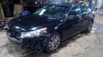 Accord 2011 Antenna 1727718 Used. Price: $74.09.