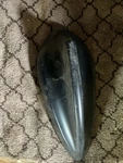 Antenna Cover Oem 2013 Bmw 335I 65 259 440 New. Price: $50.00.