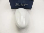 New Genuine Antenna W/ Satellite Oem For 09-10 Elantra Sedan Captiva White. Price: $44.95.