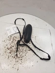 Used Antenna Fits: 2019 Honda Accord Grade. Price: $45.00.
