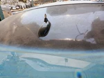 09-15 Infiniti G37/Q60 Conv. Roof Antenna Assy BLACK/KH3 Oem 28228-JJ52A Used. Price: $84.99.