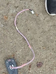 2013-2016 Toyota RAV4 Radio Antenna Assembly W/navigation Used. Price: $150.00.