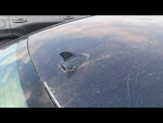 2010 Buick Lacrosse Antenna Used. Price: $97.02.