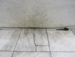 2005 Honda Civic Antenna Magnesium METALLICNH-675M Oem 39150SAA003 Used. Price: $75.00.