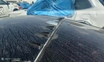 Genesis 2015 Antenna 732181 Used. Price: $80.00.