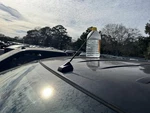 Edge 2008 Antenna 104805415 Used. Price: $64.60.