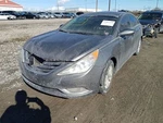Sonata 2013 Antenna 10497984 Used. Price: $68.02.
