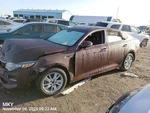 Antenna Oem 2016 Optimakia 1YR Wrnty Used. Price: $100.00.