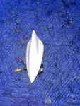 2013 2014 2015 Chevrolet Malibu Shark Fin Roof Antenna Am/fm 7410300000000K Oem Used. Price: $34.99.
