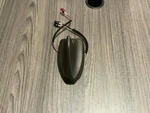 2019 2022 Ford Ecosport Roof Radio Antenna Module Oem GN15-19G461-HG No Mast Used. Price: $42.48.