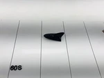 11-13 Hyundai Elantra Rear Roof Shark Fin Antenna Module Atlantic Blue Oem Used. Price: $66.49.