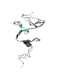 2022 Ford F150 3.5L 4X4 Cabin Body Wire Wiring Harness ML3T18895BC *109K Miles* Used. Price: $349.79.