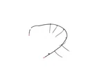 Genuine Mopar Antenna Cable 68307161AA New. Price: $39.51.